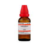 Dr. Willmar Schwabe India Ledum Palustre Dilution - Safuron Naturals